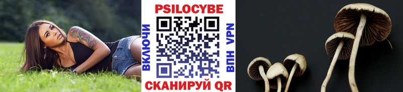Псилоцибиновые грибы GOLDEN TEACHER  Кяхта 