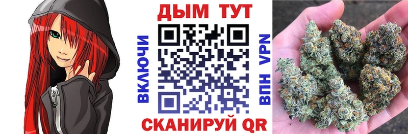 Шишки марихуана планчик  где купить наркоту  Кяхта 